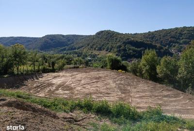 Teren de 1450 mp, în Central - 7