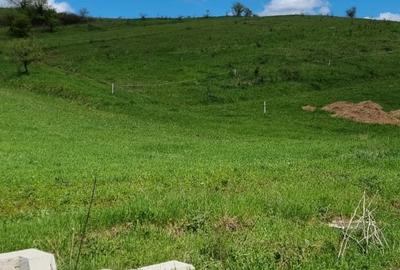 Teren Construcții extravilan de 2200 mp, în Sânpaul - 2