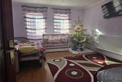 Casă cu 2 camere cu Teren 2643 Mp în Homorog - 9