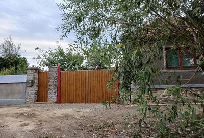Casă cu 2 camere cu Teren 1200 Mp în Covăsinț - 4