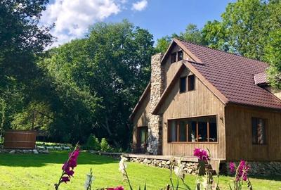 Casă cu 4 camere cu Teren 2800 Mp în Borzești - 7