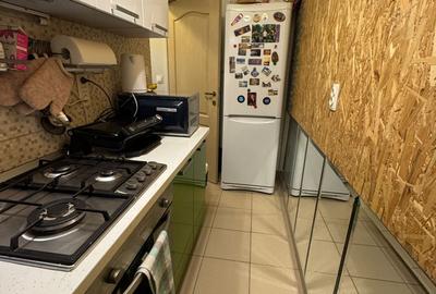 Apartament cu 1 camera Visan - 4