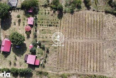 Teren de 6200 mp, în Mogoșești - 20