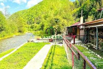 Casa de vacanta / Pensiune / Voineasa - 9