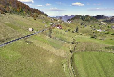 Teren Construcții intravilan de 4000 mp, în Fundata - 3
