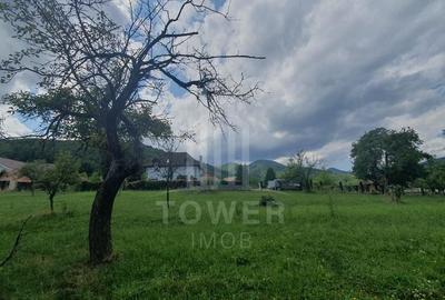 Teren de vanzare in Sibiel . - 2