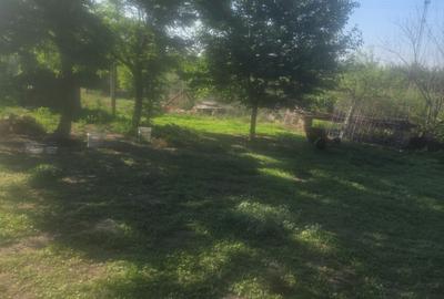 Casă cu 2 camere în Sântimreu - 3