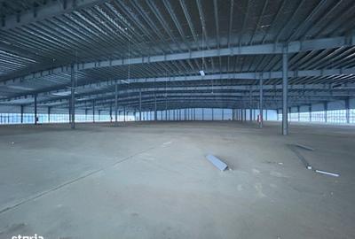 Spațiu comercial, de 350,000 mp, în Afumați - 7