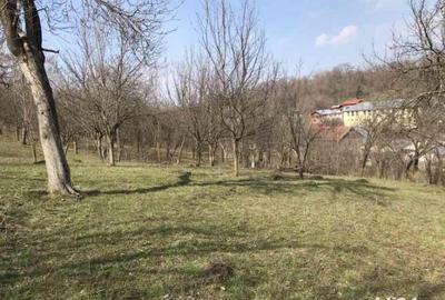 Teren de 1660 mp, în Teișani - 1