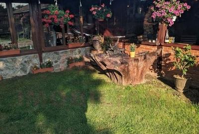 RESTAURANT DE VÂNZARE-COM. OBREJA\SAT IAZ\CARAȘ SEVERIN - 8