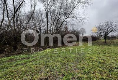 Teren Construcții intravilan de 3000 mp, în Mocira - 5