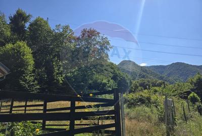 Teren de 4000 mp, în Păscoaia - 33