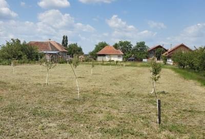 Casă individuală cu 33 camere cu Canalizare în Gelu - 7