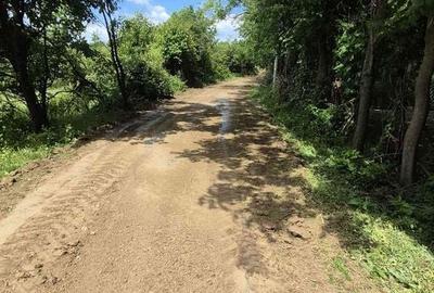 Teren de 6352 mp, în Păcureți - 1