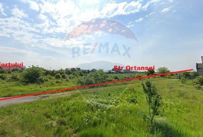 Teren de 450 mp, în Clinceni - 4