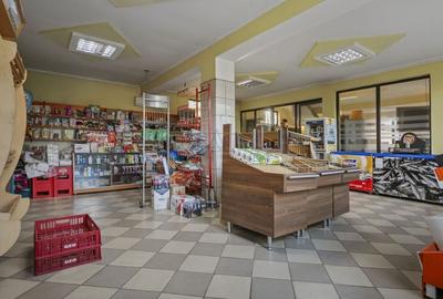 COMISION 0% | 2 Case cu Spatiu Comercial | Teren 1019mp | 540 eur/mp - 24