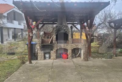 Casa cu 2 camere, 65 mp, teren 2910 mp, in Viile Satu Mare - 4