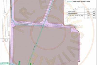 Teren Intravilan Industrial 13.164 mp, Zona Constantin Mille-Carei-Comision 0% - 9