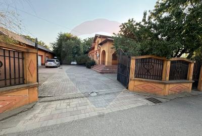 De vanzare Casa / Vila 5 camere + 5.300 mp teren Slobozia Moara, DB - 22