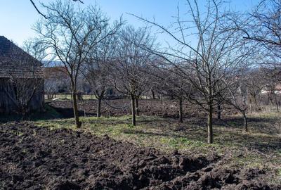 Casă cu 3 camere în Moldovenești - 6