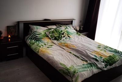 Apartament cu 2 camere semidecomandat în Dumbrăvița - 3