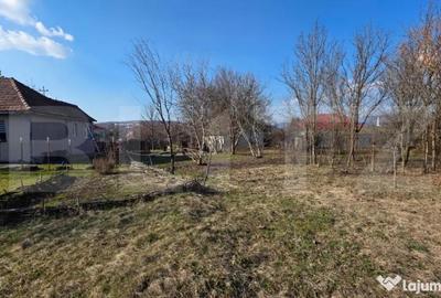 Casă cu 3 camere cu Teren 3000 Mp în Central - 5