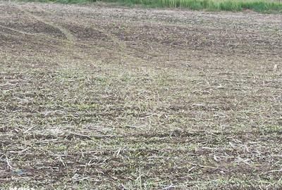 Teren de 1800 mp, în Central - 2