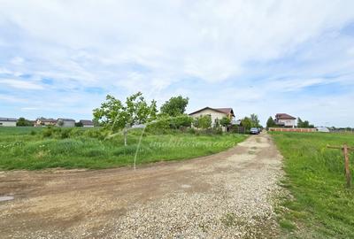 Teren Construcții intravilan de 591.66998291016 mp, în Bolintin-Deal - 10