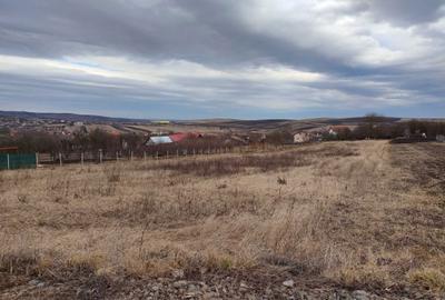 Teren de 4000 mp, în Tureni - 3