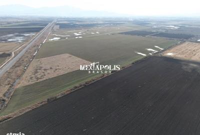 Teren de 500 mp, în Bod - 3