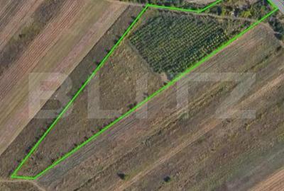 Teren de 24712 mp, în Central - 2