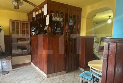 Casa de vzanzare, 240 mp, Zona Botizului - 10