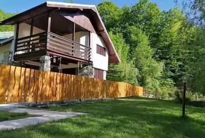 Casă cu Teren 4866 Mp în Central - 8