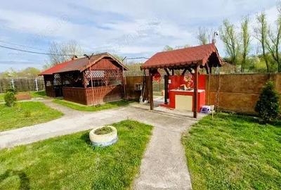 Casă cu 5 camere cu Teren 1500 Mp în Turia - 10