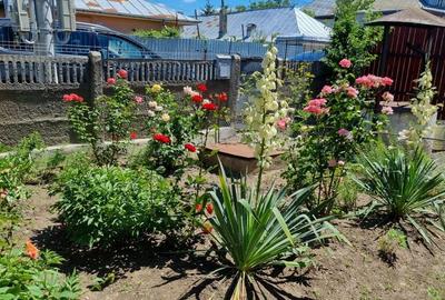 Casă cu 2 camere în Exterior Vest - 2