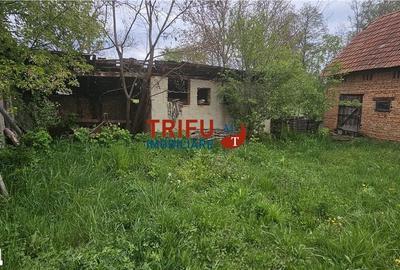 Casă cu 2 camere cu Teren 3101 Mp în Galda de Jos - 8