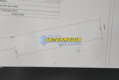 Teren Construcții intravilan de 6500 mp, în Cetate - 1