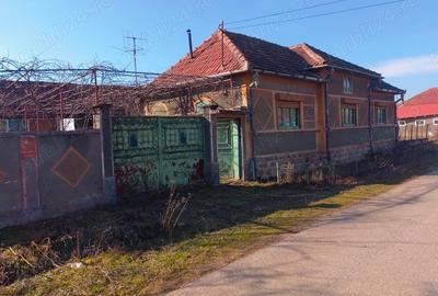 Casă în Săldăbagiu Mic - 4