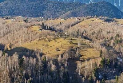 Casă cu 4 camere cu Teren 600 Mp în Moieciu - 4