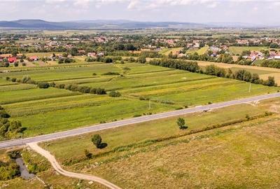 Teren extravilan Lunca Calnicului langa E574 - 7