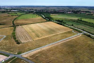 Teren Construcții intravilan de 1500 mp, în Moșnița Nouă - 7