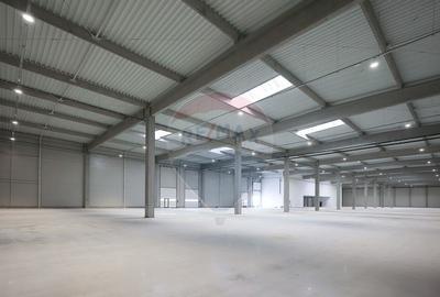 Hala de vanzare, Sc 7014mp, Zona Biharia - 4