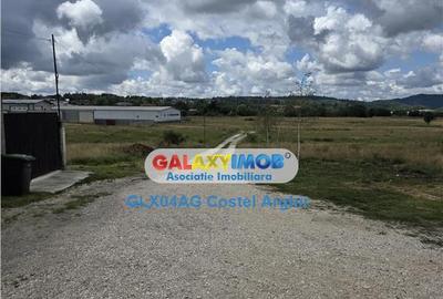 Vindem terenuri intravilane in Campulung - Arges 3400 si 180 - 2