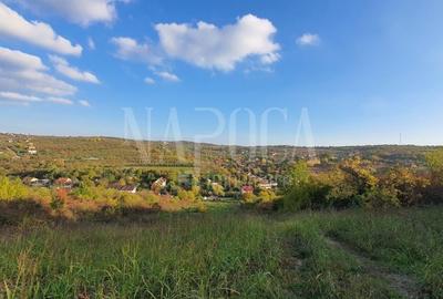 Teren Construcții intravilan de 8804 mp, în Dealuri Oradea - 2