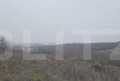Teren intravilan, 10.000 mp, front peste 150 metri, zona Cur - 2