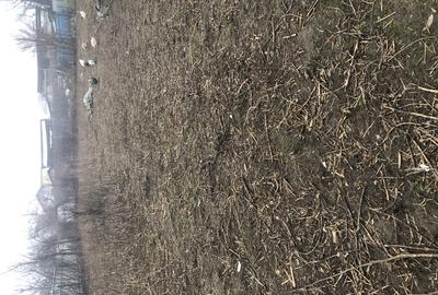 Inchiriez teren intravilan - 2