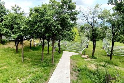 Casă cu 3 camere cu Teren 700 Mp în Central - 3