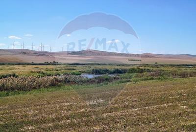 Teren agricol extravilan de 10000 mp, în Mihail Kogălniceanu - 4