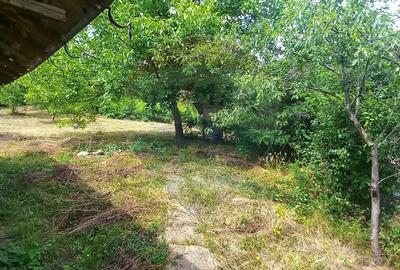 Teren Intravilan de vanzare 3551mp Poiana Copaceni Com Gura Vitioarei - 27