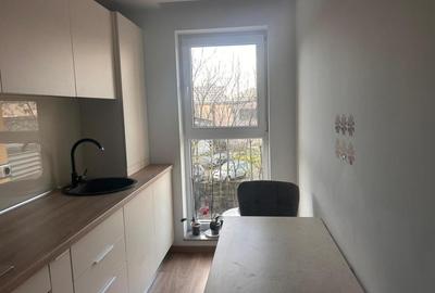 Garsonieră în Pantelimon - 11